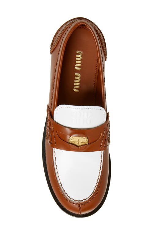 Shop Miu Miu Colorblock Penny Loafer In Cognac/white