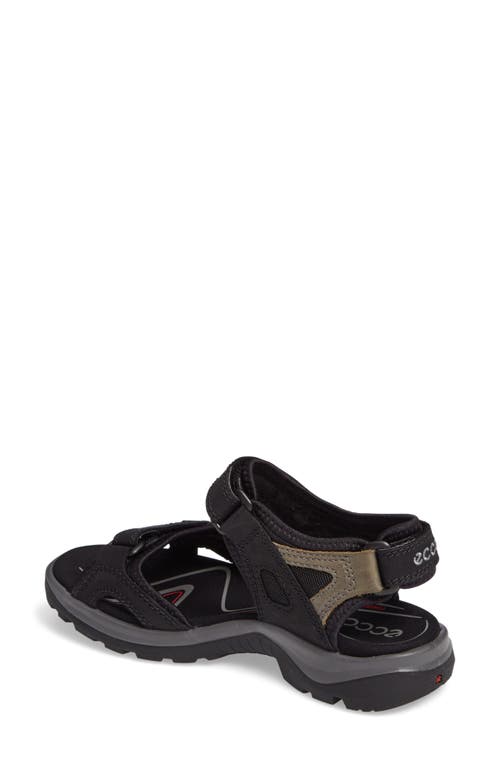 Shop Ecco Yucatan Sandal In Black/mole