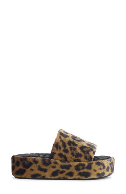 Shop Balenciaga Rise Platform Slide Sandal In Leopard