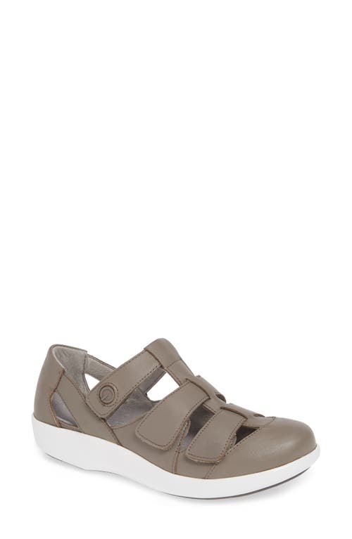 Alegria by PG Lite TRAQ Treq Sneaker in Dove Leather at Nordstrom, Size 6-6.5Us