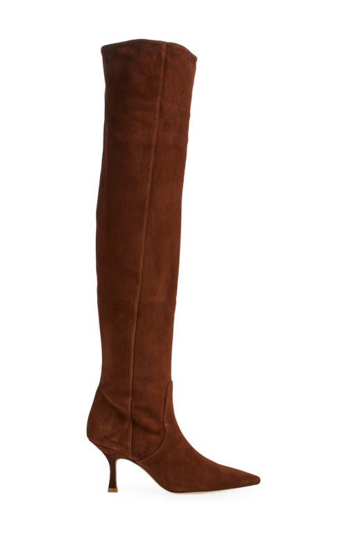 Shop Stuart Weitzman Naomi 75 Tall Boot In Deep Coffee Suede