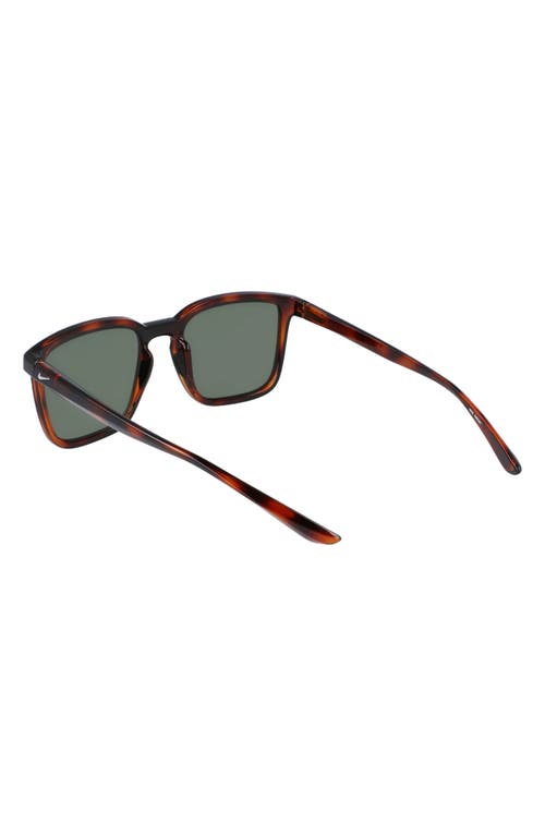 Nike Circuit 55mm Square Sunglasses In Soft Tortoise/green