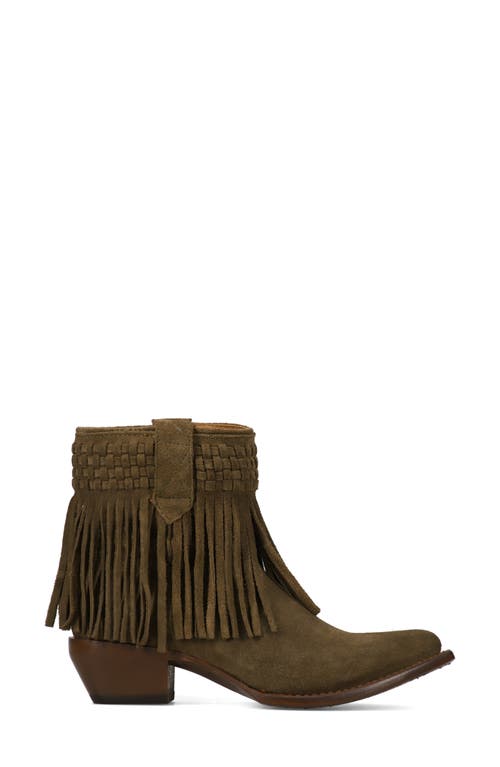 Shop Frye Sacha Fringe Bootie In Moss