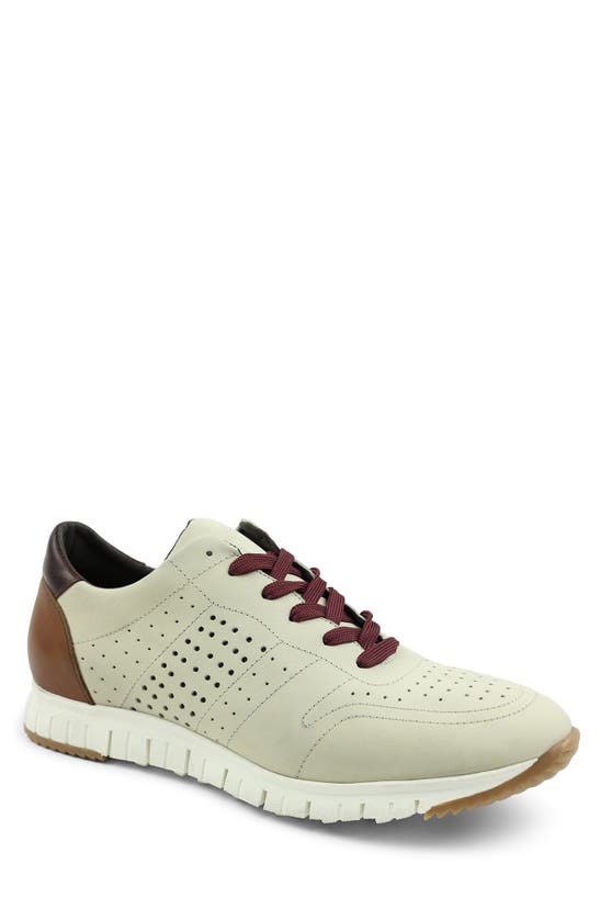 Bruno Magli Zuma Perforated Sneaker In Off white ModeSens