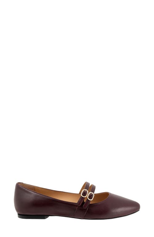 Trotters Emerald Pointed Toe Mary Jane Flat In Oxblood