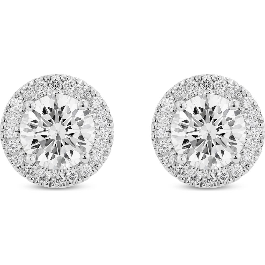 Lightbox 2-carat Lab Grown Diamond Halo Stud Earrings In Gray