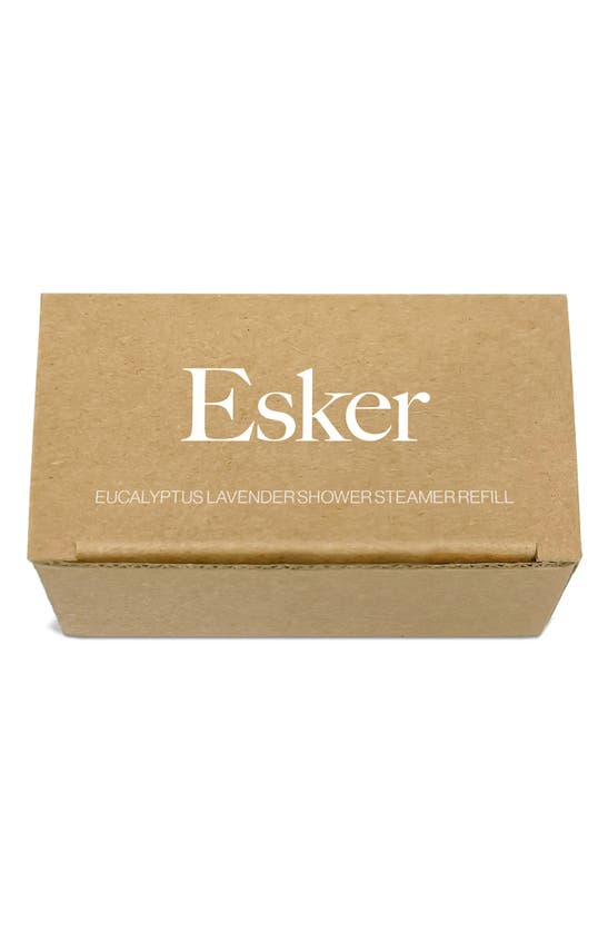 Shop Esker Shower Steamer Tablet Refills