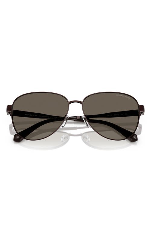 Michael Kors 59mm Pilot Sunglasses In Chocolate