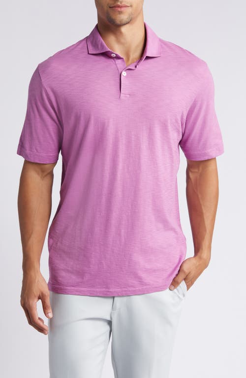 Crown Crafted Journeyman Pima Cotton Polo in Valencia