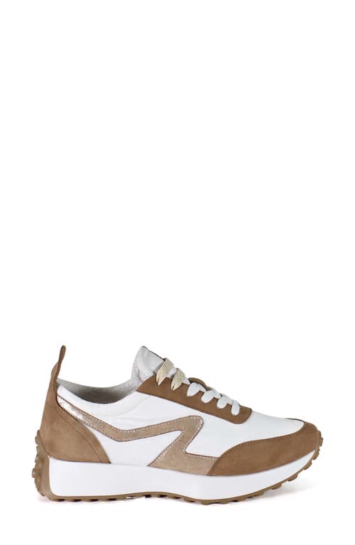 Shop Diba True Kind Mark Sneaker In Sigaro/gold