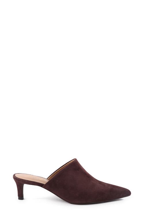 Shop Seychelles Obsession Pointed Toe Kitten Heel Mule In Dark Brown Suede