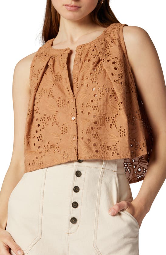 Shop Joie Gemma Embroidered Crop Swing Tank Top