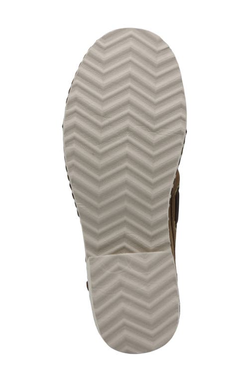 Charles David Poppy Kiltie Fringe Loafer In Dark Tan
