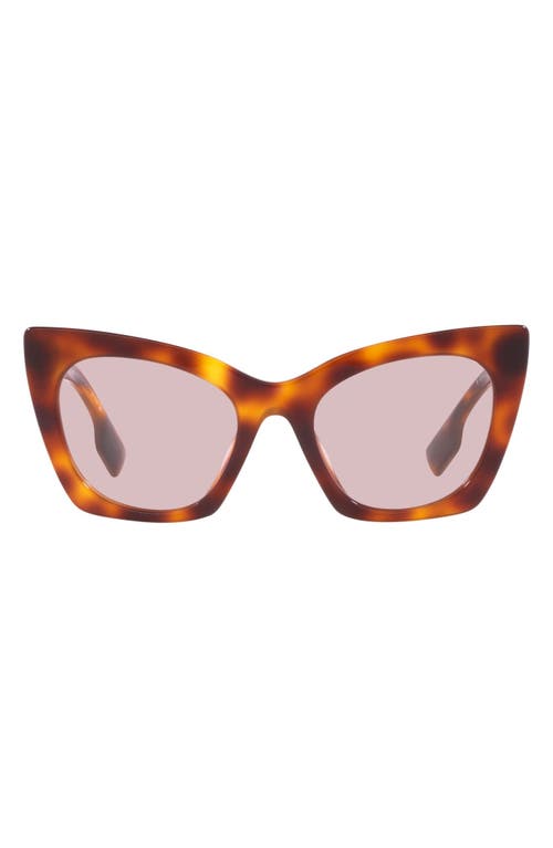 EAN 8056597726849 product image for burberry 52mm Cat Eye Sunglasses in Light Havana at Nordstrom | upcitemdb.com