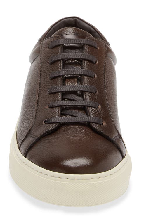 To Boot New York Men's Pescara Leather Low-top Sneakers In Brown