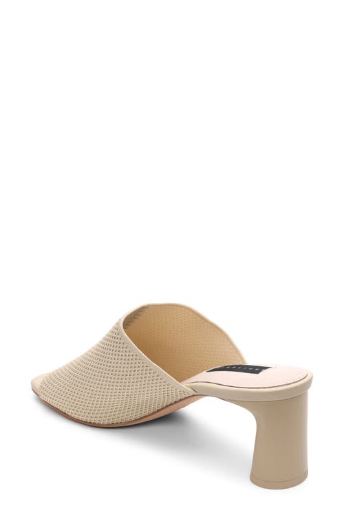 Shop Sanctuary Behold Slide Sandal In Milk/birch