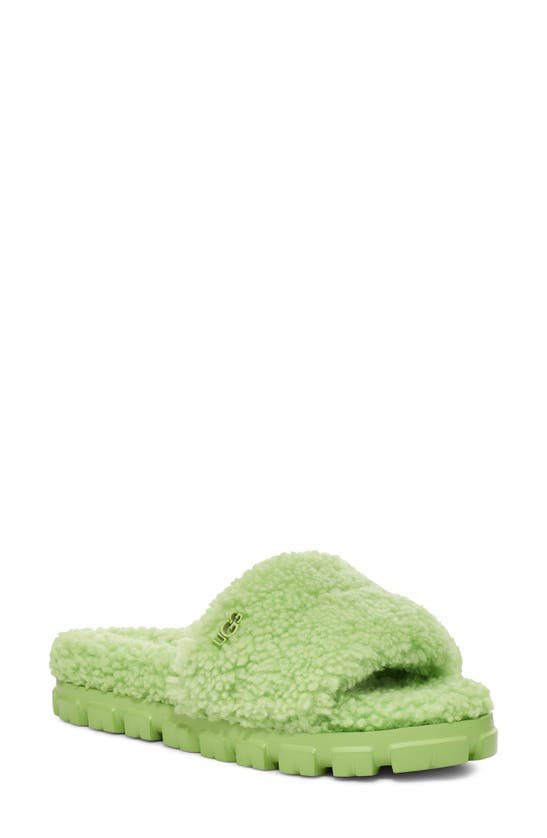 Ugg Cozetta Curly Genuine Shearling Slide Slipper In Parakeet Green