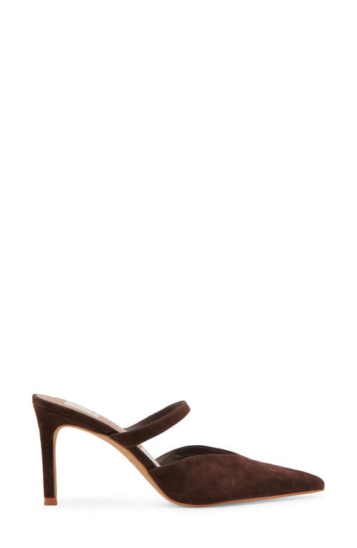 Shop Dolce Vita Kanika Pointed Toe Pump In Dk Brown Suede