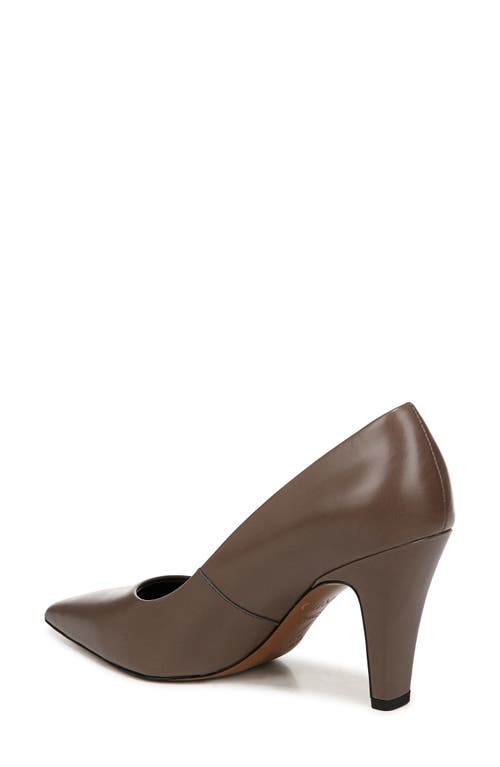 Shop Sarto By Franco Sarto Sage Pointed Toe Pump In Brown