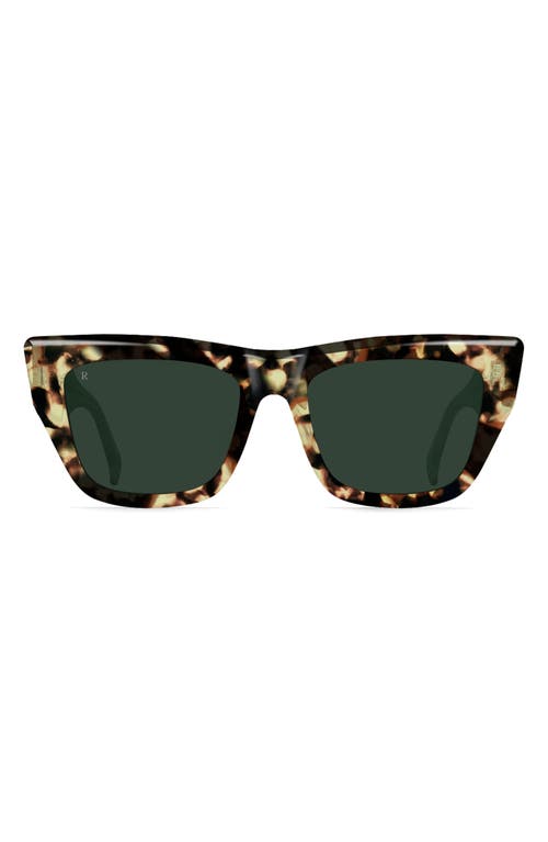 RAEN Marza 53mm Square Sunglasses in Toyko Champagne /Green at Nordstrom