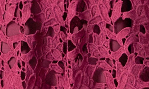 ENDLESS ROSE ENDLESS ROSE ALLOVER LACE MIDI DRESS