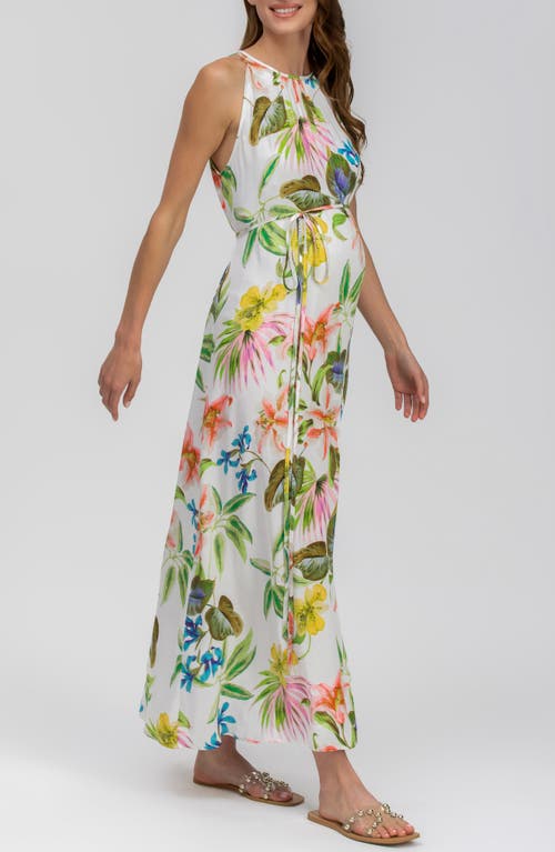 Shop Pietro Brunelli Floral Print Halter Neck Sleeveless Maxi Maternity Dress In Natural