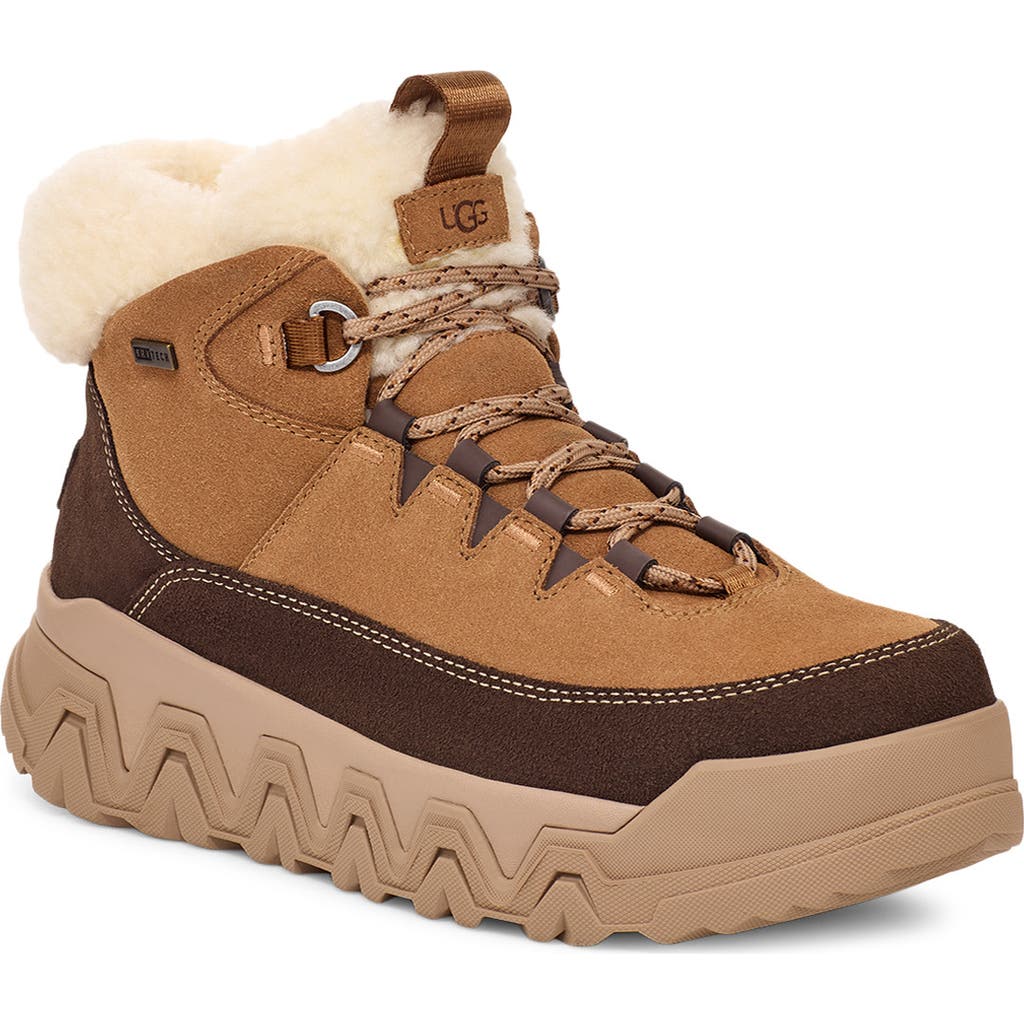 Ugg (r) Terretrail Cozy Winter Boot In Chestnut