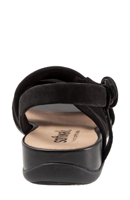 Shop Softwalk ® Tieli Sandal In Black Suede