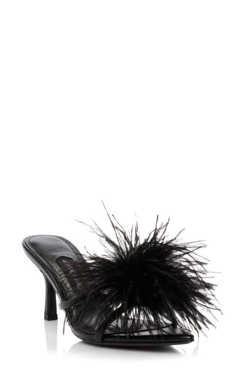 Malina Feather Pointed Toe Slide Sandal in Noir