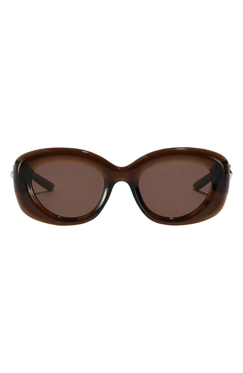 Bianca 54mm Polarized Round Sunglasses in Brown