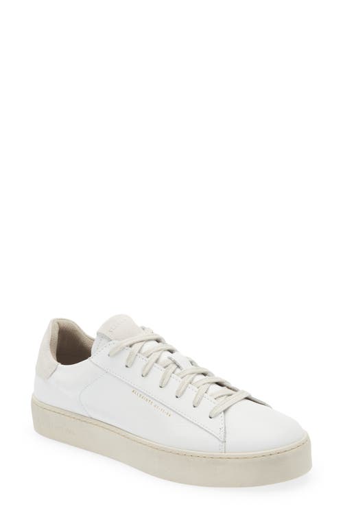 Shana Low Top Sneaker in White