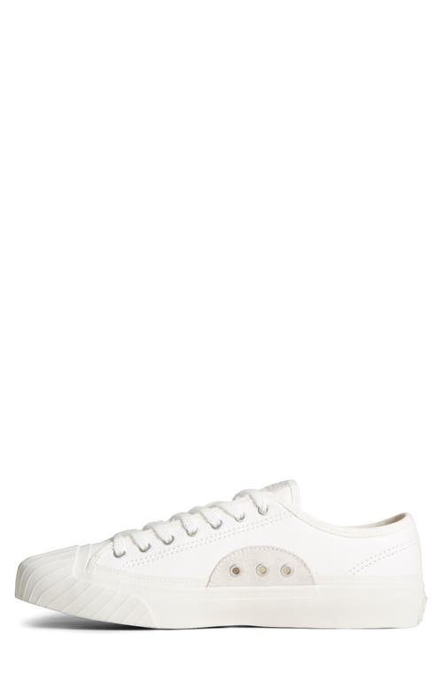 Shop Sperry Racquet Sneaker In White