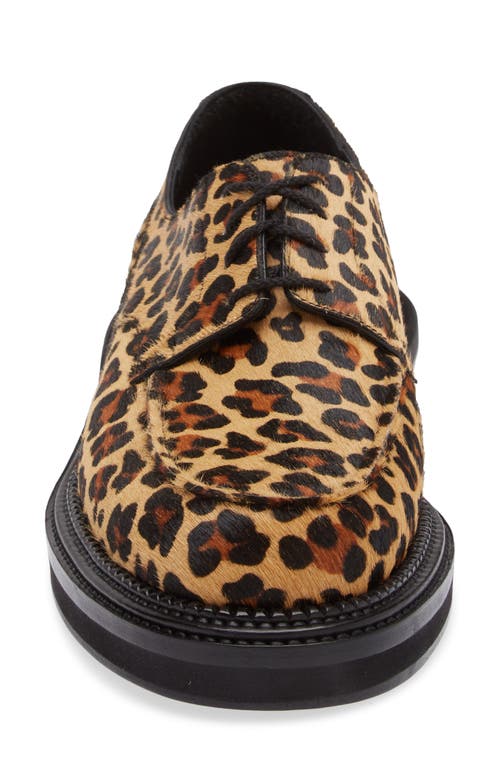 Shop Jm Weston X Sacai Genuine Calf Hair Golf Derby In Leopard Calf Hair