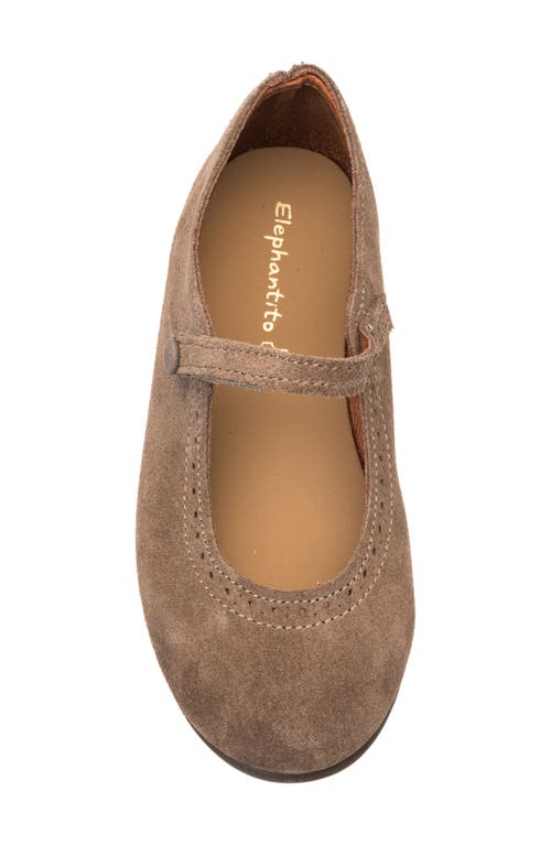 Elephantito Girls' Suede Mary Jane With Decorative Button - Toddler, Little Kid, Big Kid In Beige