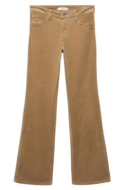 MANGO Corduroy Flare Leg Pants Medium Brown at Nordstrom,