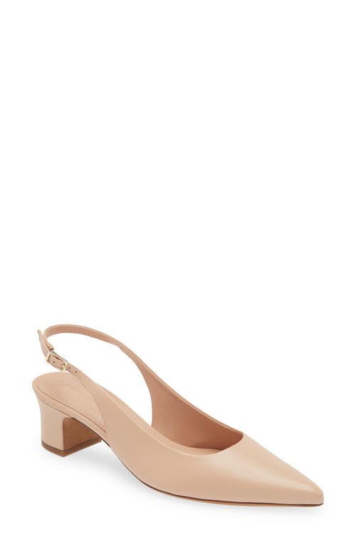 Mansur Gavriel Pointed Toe Slingback Pump at Nordstrom,