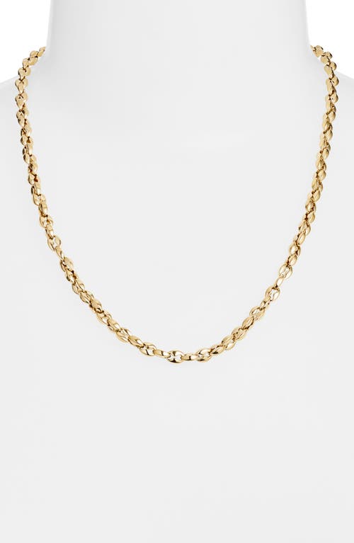 Jenny Bird Dhani Chain Necklace In High Polish Gold