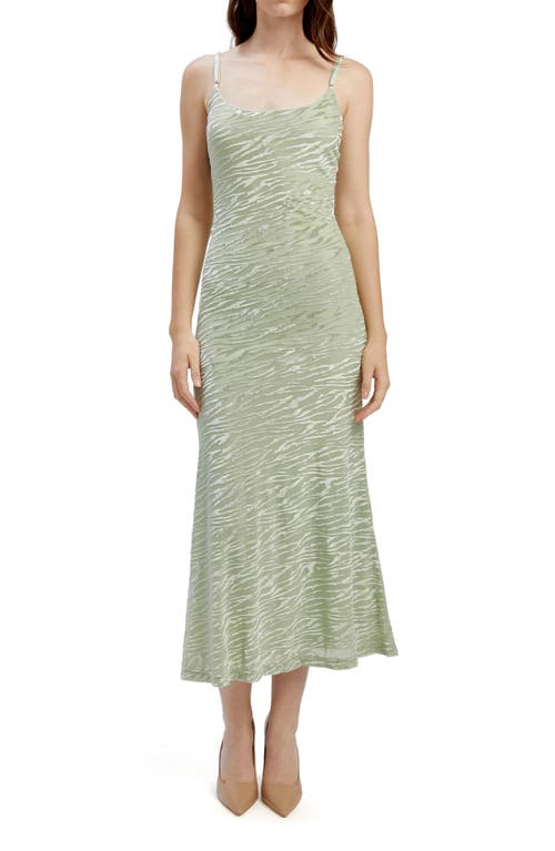 Bardot Nadira Sleeveless Burnout Fitted Midi Dress In Soft Sage