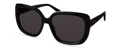 Derek Lam 10 Crosby River Sunglasses In Black