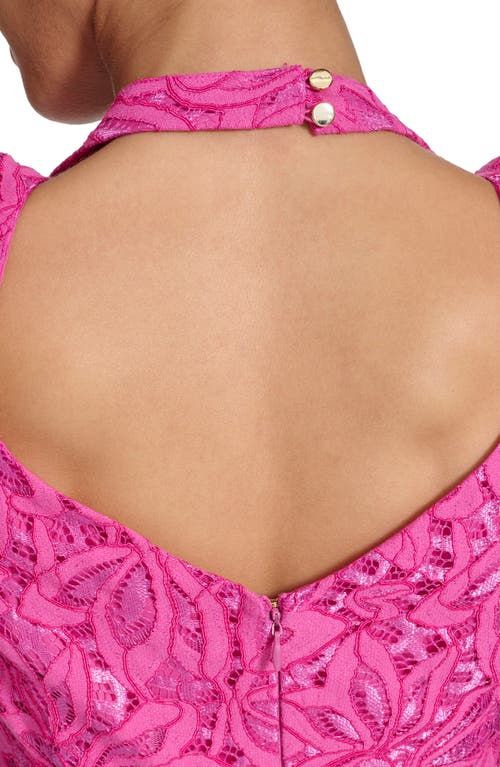 Kensie Corded Lace Mini Dress In Fuchsia