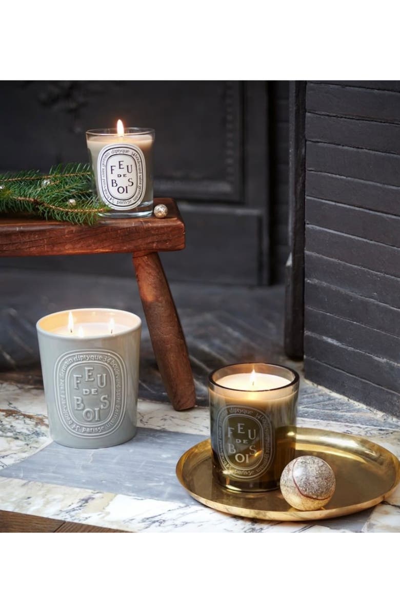 Diptyque Feu de Bois (Fire Wood) Scented Candle Nordstrom