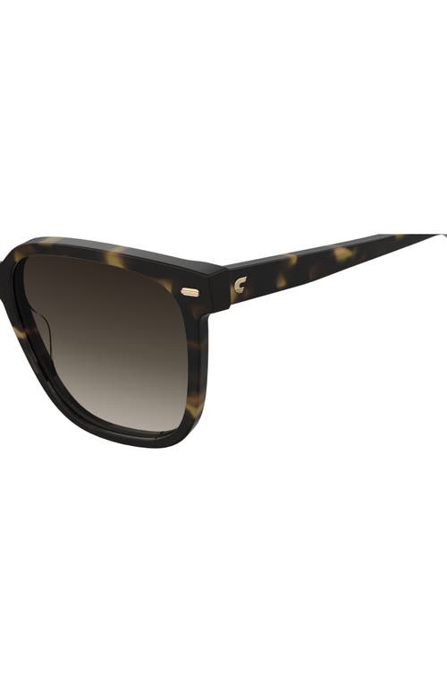 Carrera Eyewear 55mm Rectangular Sunglasses In Havana/brown Gradient
