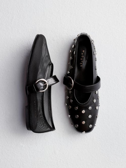 Shop Maguire Aveiro Ballerina In Black Stud