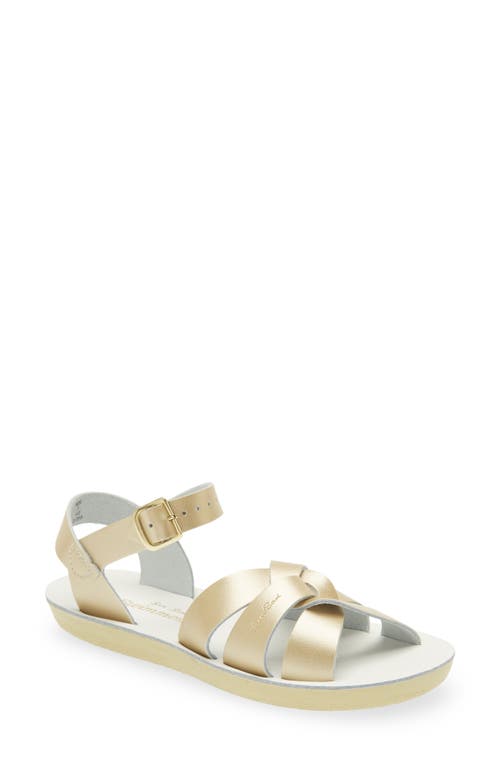 Salt Water Sandals by Hoy Swimmer Sandal Gold at Nordstrom, M