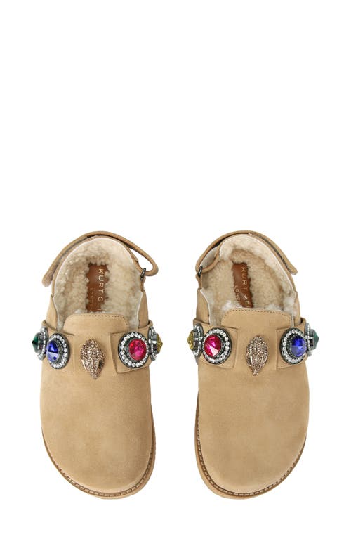 Shop Kurt Geiger London Octavia Genuine Shearling Lined Clog In Dark Beige