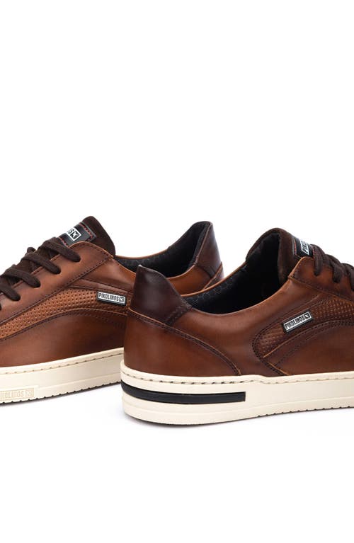 Pikolinos Xativa Basic Punched Sneaker In Cuero