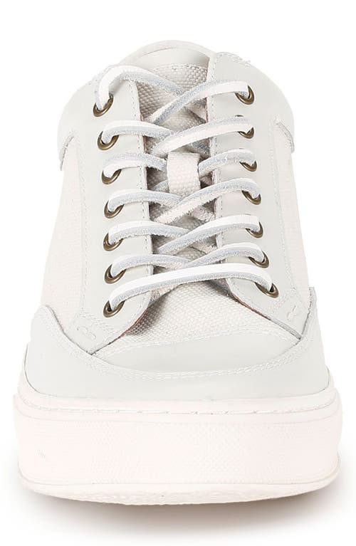 Frye Hoyt Low Lace Canvas & Leather Sneaker In White - Ruffle Leather