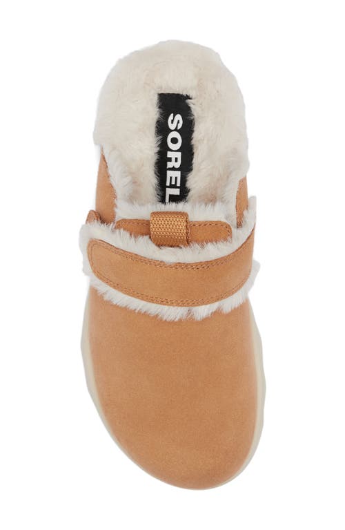 Shop Sorel Viibe Faux Fur Clog In Tawny Buff/natural