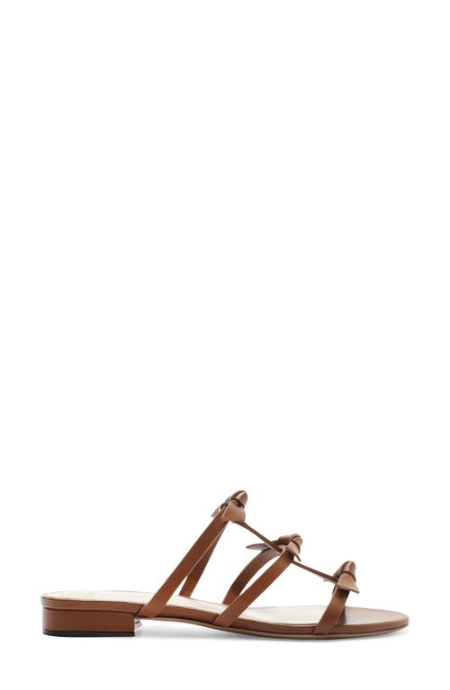 Shop Alexandre Birman Slim Lolita Slide Sandal In Espresso