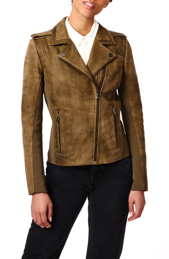 Bernardo Suede Moto Jacket In Olive